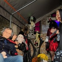 Halloween 2022 - Photos - Acanthus