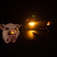 Halloween 2022 - Photos - Acanthus