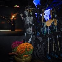 Halloween 2022 - Photos - Acanthus