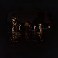 Kerst 2022 - Photos - Acanthus