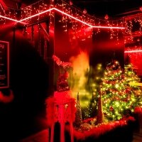 Kerst 2022 - Photos - Acanthus