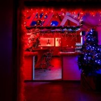 Kerst 2022 - Photos - Acanthus