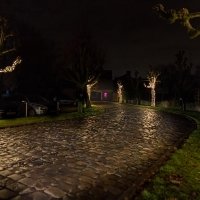 Kerst 2022 - Photos - Acanthus