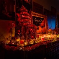 Kerst 2022 - Photos - Acanthus