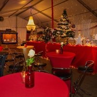 Nye 2022 - Photos - Acanthus
