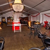 Nye 2022 - Photos - Acanthus
