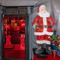 Nye 2022 - Photos - Acanthus