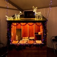 Nye 2022 - Photos - Acanthus