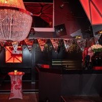 Nye 2022 - Photos - Acanthus