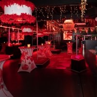 Nye 2022 - Photos - Acanthus