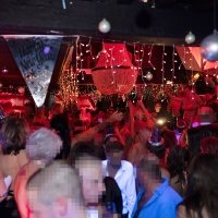Nye 2022 - Photos - Acanthus