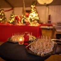 Nye 2022 - Photos - Acanthus