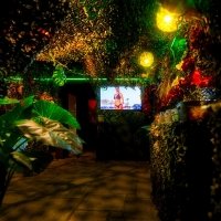 Tropical Swingsteren 2023 - Photos - Acanthus