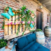 Tropical Swingsteren 2023 - Photos - Acanthus