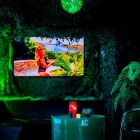 Tropical Swingsteren 2023 - Photos - Acanthus