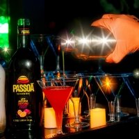 Tropical Swingsteren 2023 - Photos - Acanthus