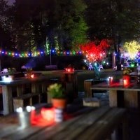 Tropical Swingsteren 2023 - Photos - Acanthus