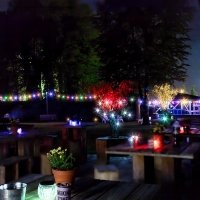 Tropical Swingsteren 2023 - Photos - Acanthus