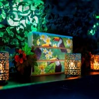 Tropical Swingsteren 2023 - Photos - Acanthus