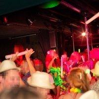Tropical Swingsteren 2023 - Photos - Acanthus