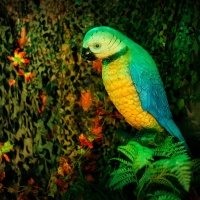 Tropical Swingsteren 2023 - Photos - Acanthus