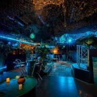 Tropical Swingsteren 2023 - Photos - Acanthus