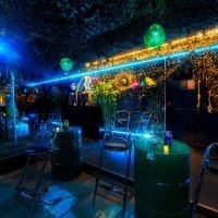 Tropical Swingsteren 2023 - Photos - Acanthus