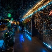 Tropical Swingsteren 2023 - Photos - Acanthus