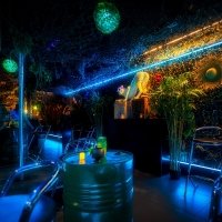 Tropical Swingsteren 2023 - Photos - Acanthus