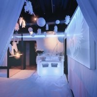 White 2023 - Photos - Acanthus