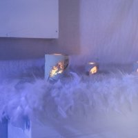 White 2023 - Photos - Acanthus