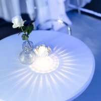 White 2023 - Photos - Acanthus