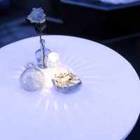White 2023 - Photos - Acanthus
