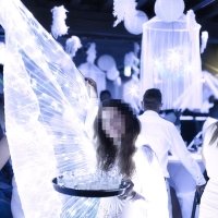 White 2023 - Photos - Acanthus