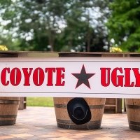 Coyote 2023 - Photos - Acanthus