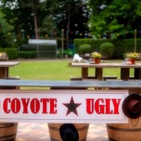 Coyote 2023 - Photos - Acanthus