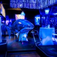H2o 2023 - Photos - Acanthus