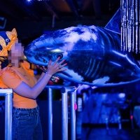 H2o 2023 - Photos - Acanthus