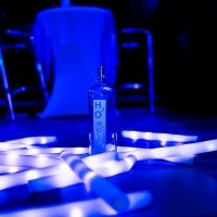 H2o 2023 - Photos - Acanthus