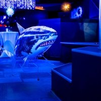 H2o 2023 - Photos - Acanthus
