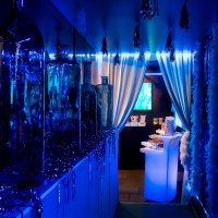 H2o 2023 - Photos - Acanthus