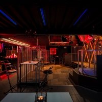 Xxx 2023 - Photos - Acanthus