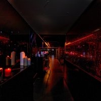 Xxx 2023 - Photos - Acanthus