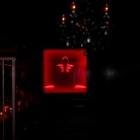 Xxx 2023 - Photos - Acanthus