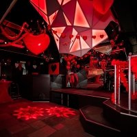 Valentine 2023 - Photos - Acanthus