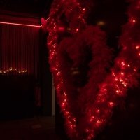 Valentine 2023 - Photos - Acanthus