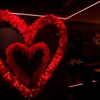Valentine 2023 - Photos - Acanthus