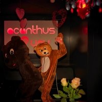 Valentine 2023 - Photos - Acanthus
