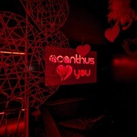 Valentine 2023 - Photos - Acanthus