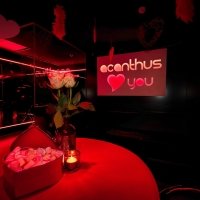 Valentine 2023 - Photos - Acanthus